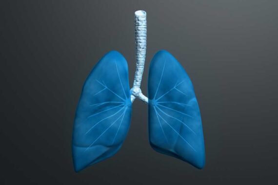 Pulmones y bronquitis