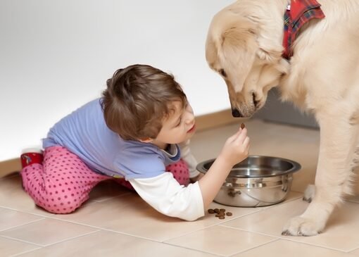 Mejores mascotas para niños